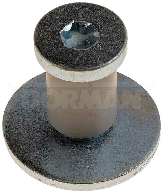 Parafuso de fixação de porta Dorman P/N 38421