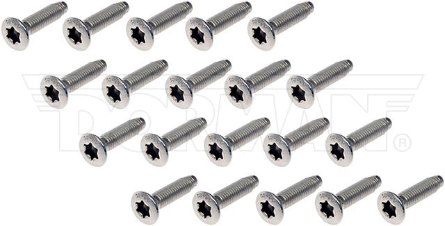 Tornillos para puerta Dorman P/N 45998