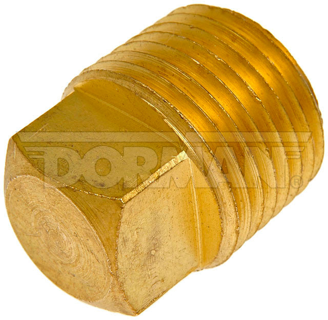 Tapón de tubería Dorman P/N 785-073D