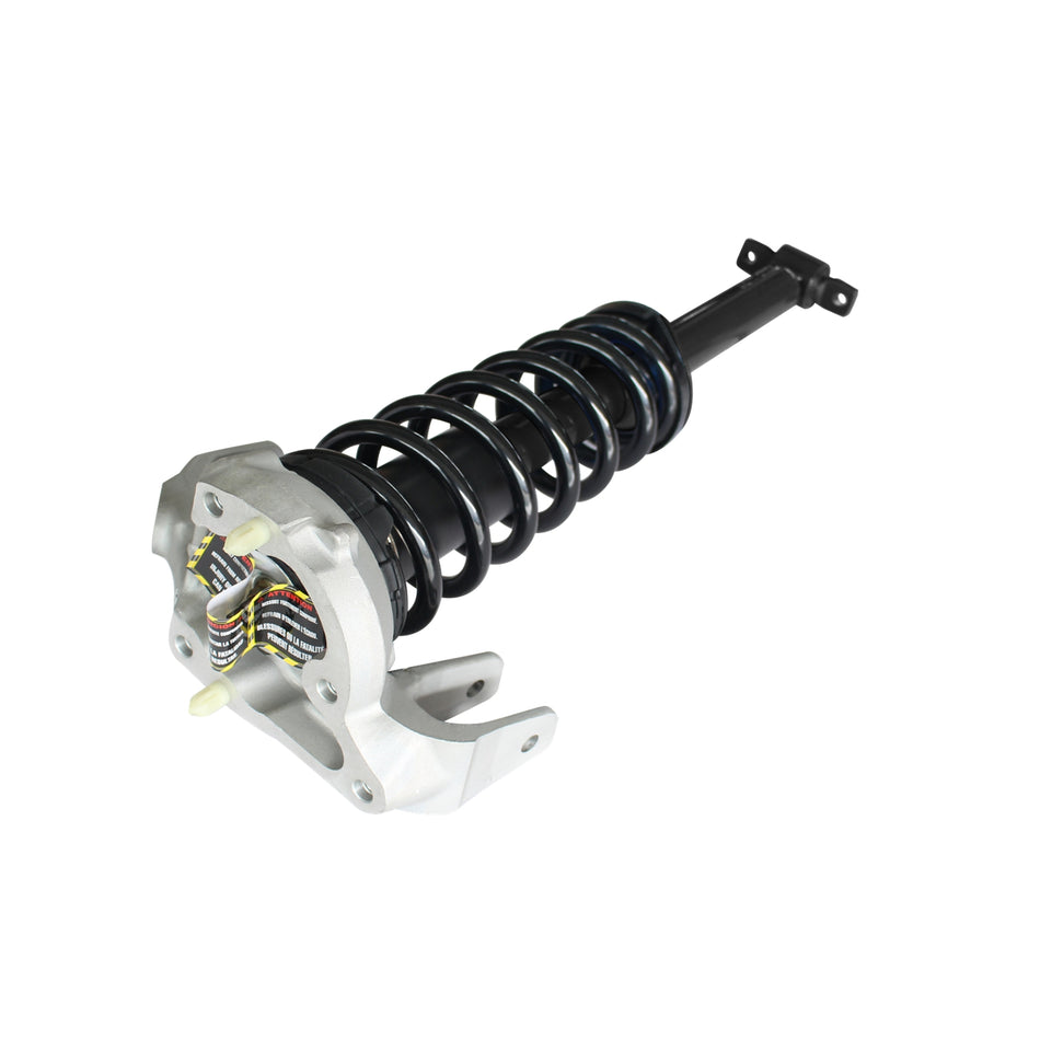 GSP Loaded Strut Assembly P/N 810002