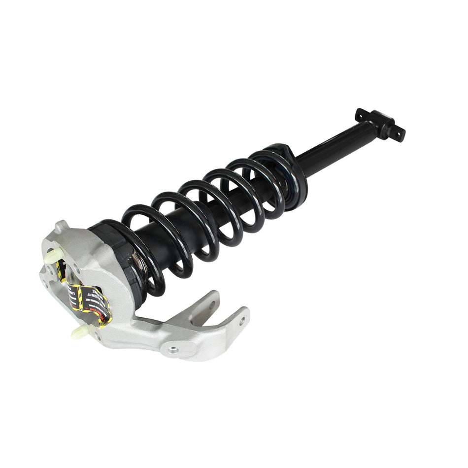 GSP Loaded Strut Assembly P/N 810003