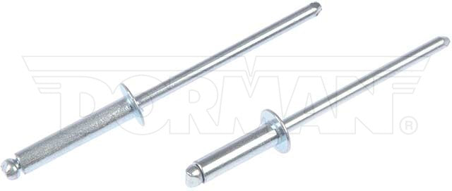 Dorman Rivet Assortment P/N 961-020