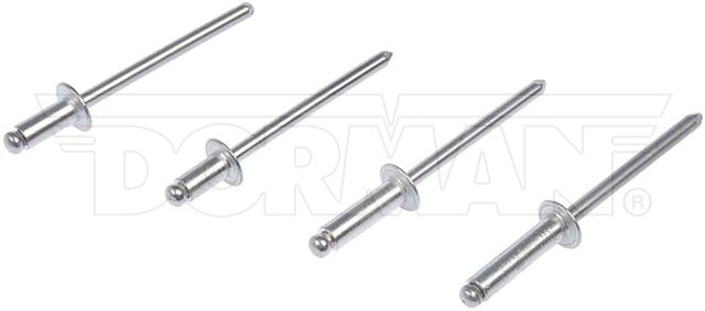 Dorman Rivet Assortment P/N 961-025