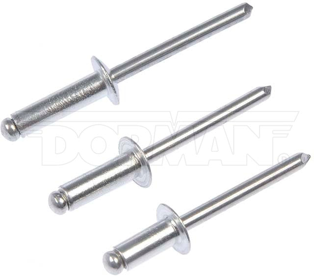 Dorman Rivet Assortment P/N 961-030