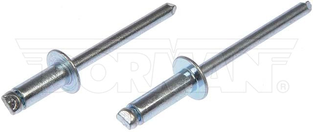 Dorman Rivet Assortment P/N 961-035