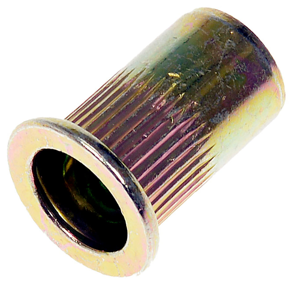 Dorman Rivet Nut - 5/16-18 P/N 963-252D