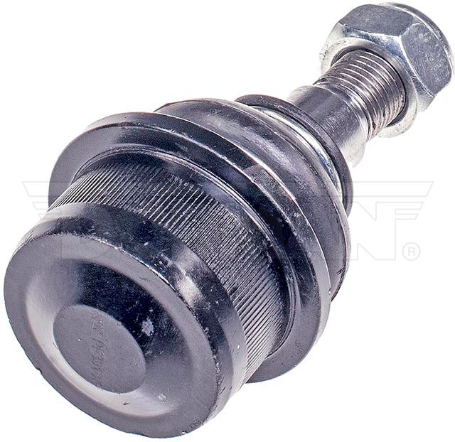 Rótula Dorman N/P BJ28215