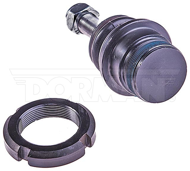Rótula Dorman N/P BJ28655