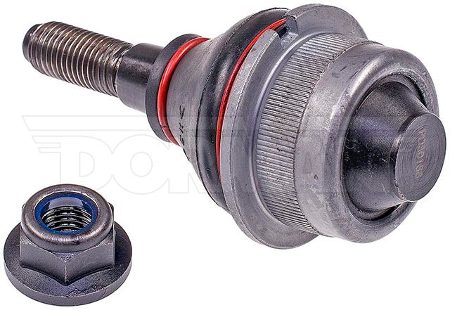 Rótula Dorman P/N BJ43006XL