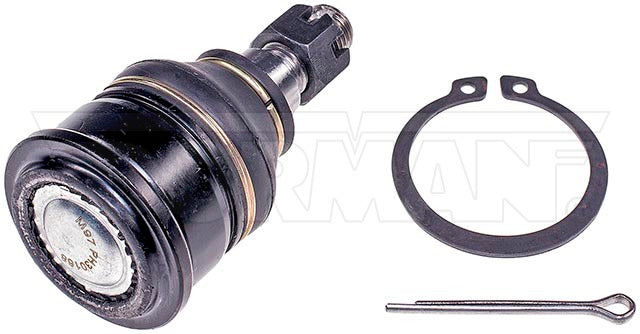 Rótula Dorman N/P BJ50045