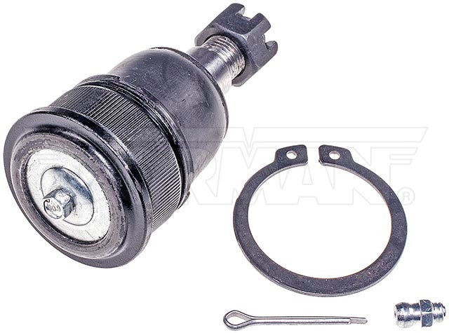 Rótula Dorman N/P BJ59005