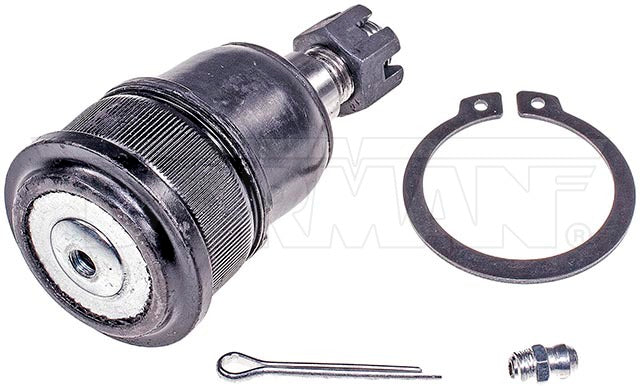 Rótula Dorman N/P BJ59355