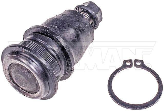 Rótula Dorman N/P BJ60006