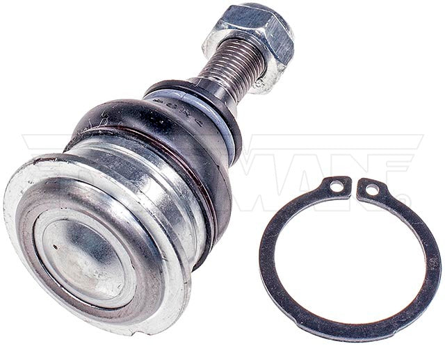 Rótula Dorman N/P BJ60016