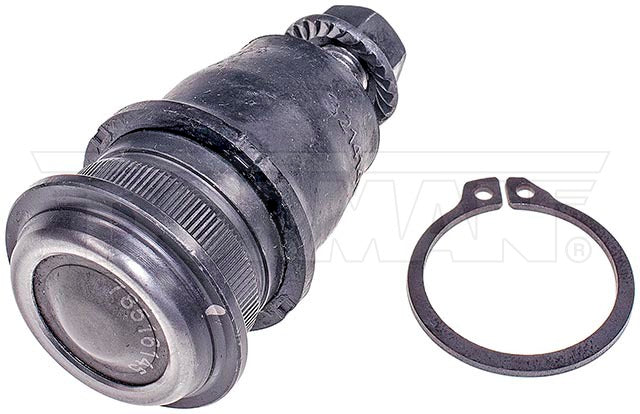Rótula Dorman N/P BJ60026