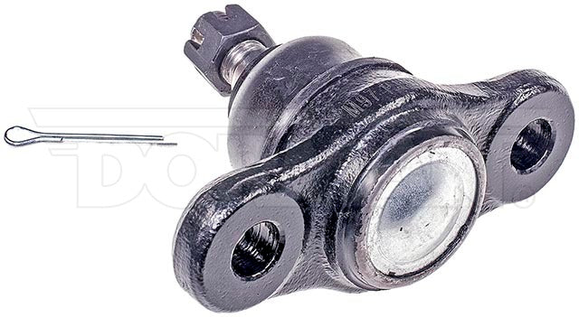 Rótula Dorman N/P BJ60135