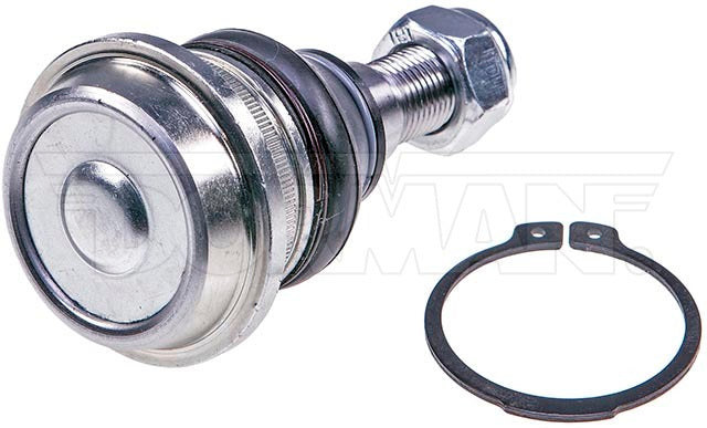 Rótula Dorman N/P BJ60265