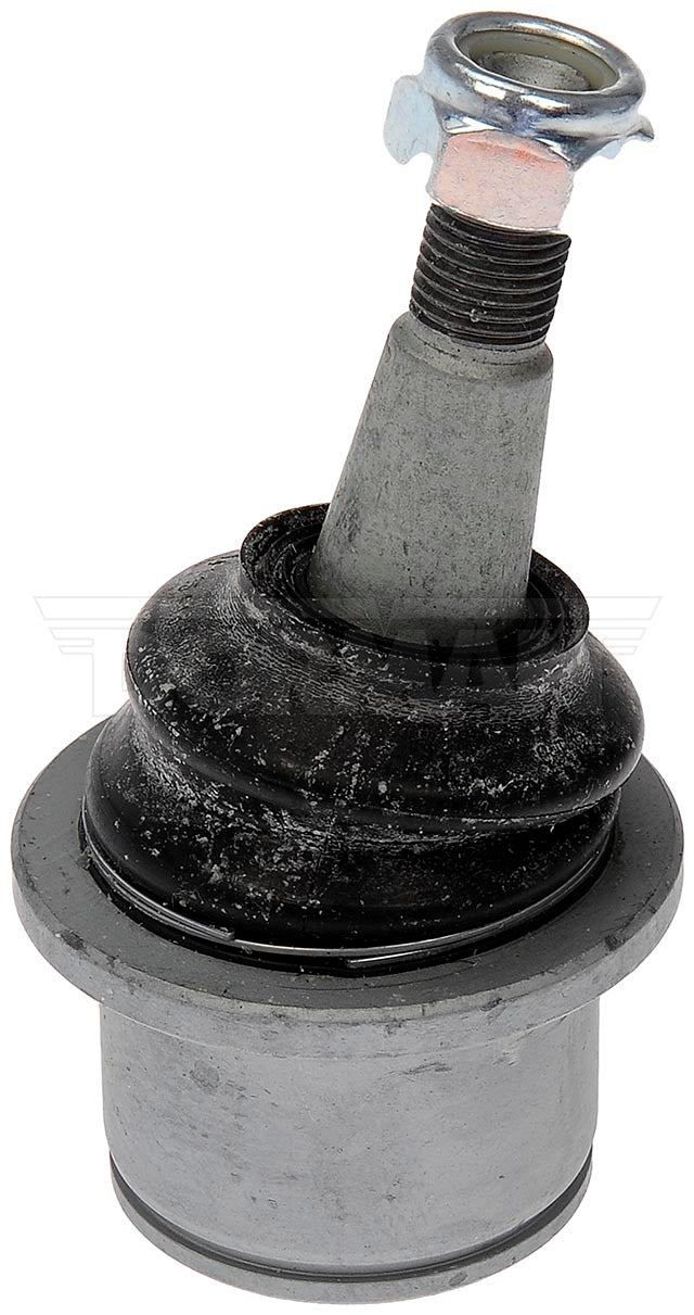 Rótula Dorman N/P BJ60285