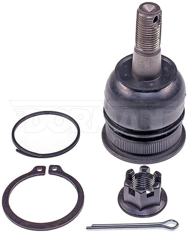 Rótula Dorman P/N BJ65046