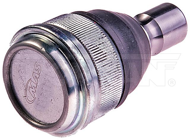 Rótula Dorman N/P BJ65215