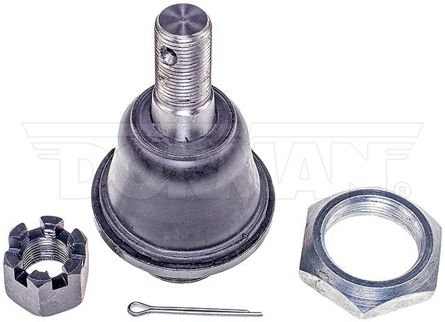 Rótula Dorman N/P BJ69145