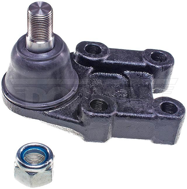 Rótula Dorman N/P BJ70005