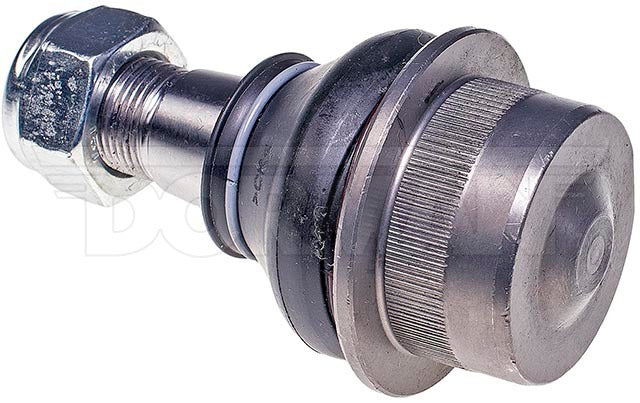 Rótula Dorman N/P BJ81475