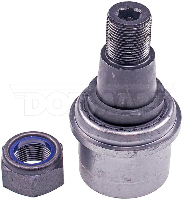 Rótula Dorman N/P BJ82465XL
