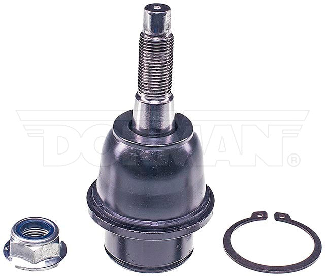 Rótula Dorman N/P BJ82495