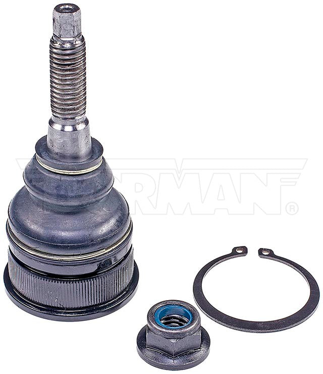 Rótula Dorman N/P BJ85126