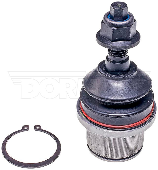 Rótula Dorman N/P BJ86245XL