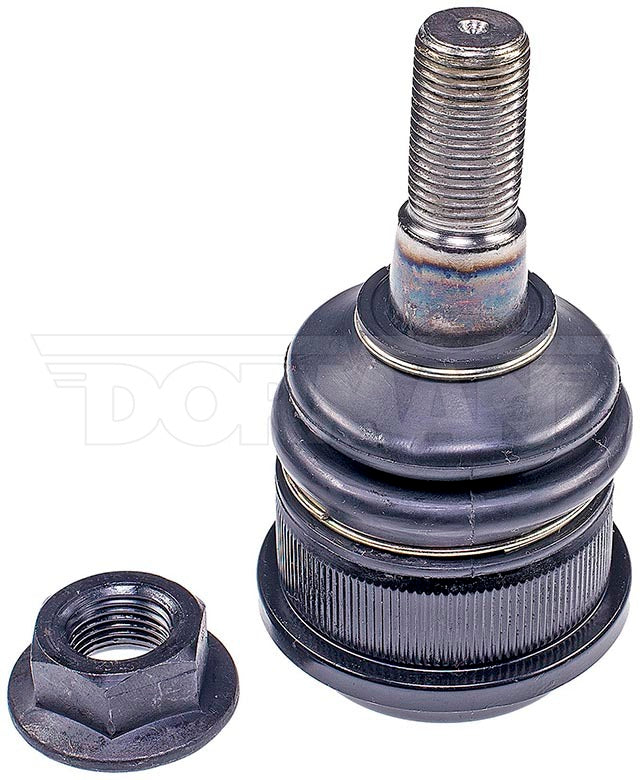 Rótula Dorman N/P BJ86335