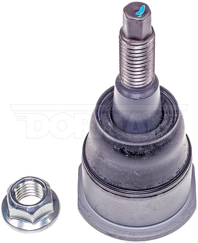 Rótula Dorman N/P BJ90596