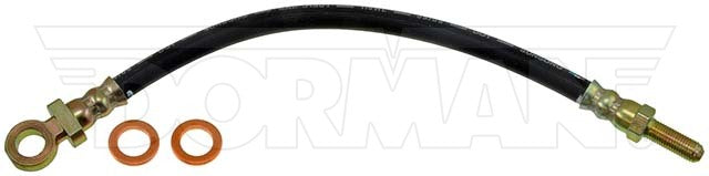 Dorman Brake Hose P/N H36901-BX