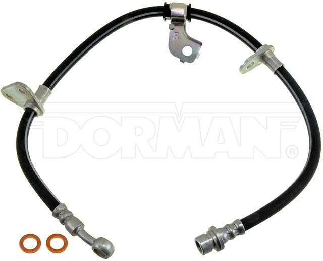 Manguera de freno Dorman P/N H380055-BX