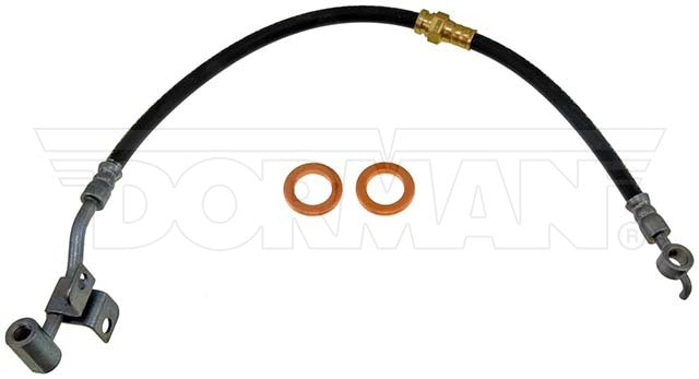 Dorman Brake Hose P/N H380201-BX