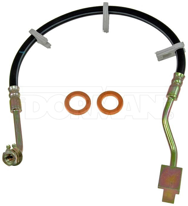 Dorman Brake Hose P/N H380319-BX