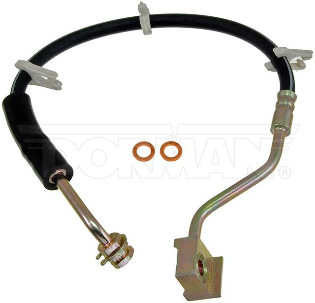 Dorman Brake Hose P/N H380369-BX