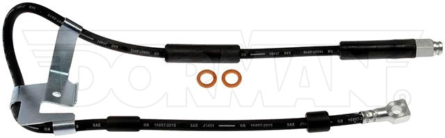Dorman Brake Hose P/N H380541-BX