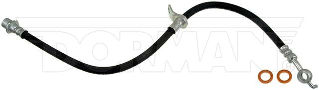 Dorman Brake Hose P/N H380968-BX
