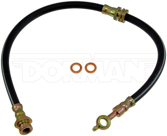 Manguera de freno Dorman P/N H38098-BX