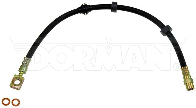 Dorman Brake Hose P/N H381019-BX