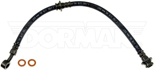 Dorman Brake Hose P/N H381101-BX