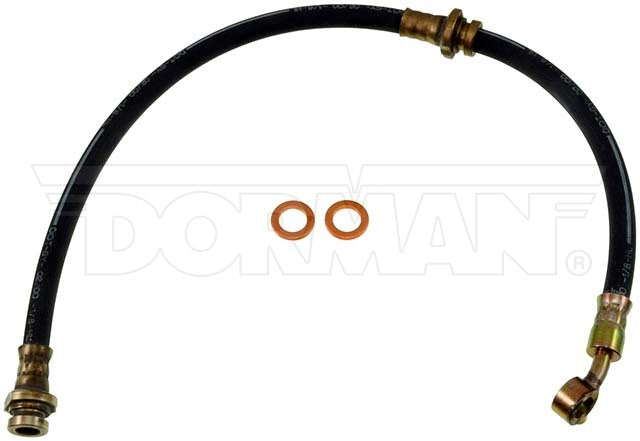 Dorman Brake Hose P/N H381110-BX