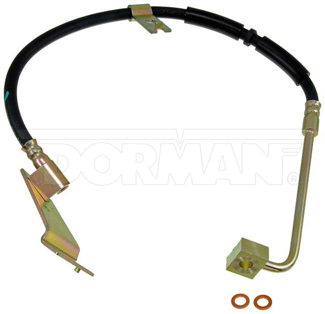 Dorman Brake Hose P/N H381159-BX