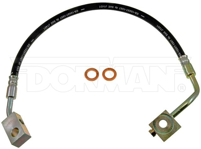 Dorman Brake Hose P/N H38334-BX