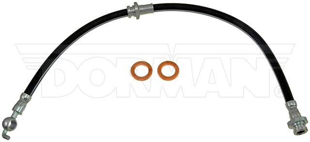 Dorman Brake Hose P/N H38364-BX