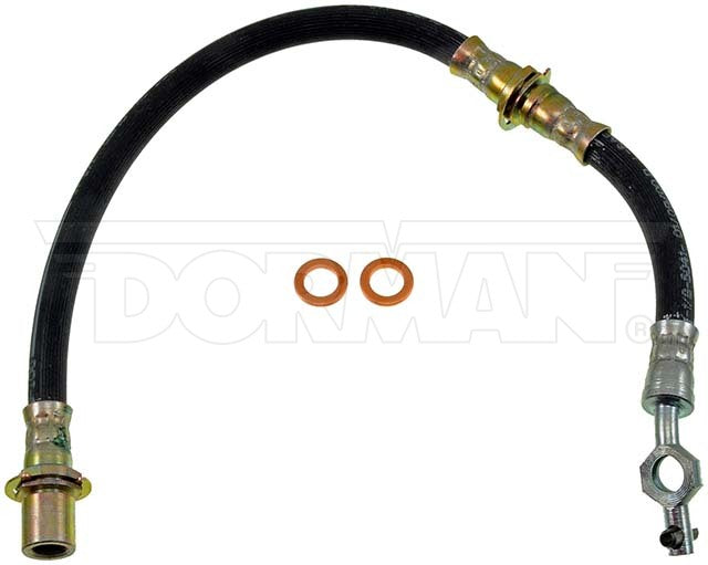 Dorman Brake Hose P/N H38406-BX