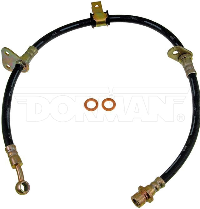 Dorman Brake Hose P/N H38718-BX