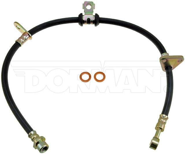 Dorman Brake Hose P/N H38855-BX